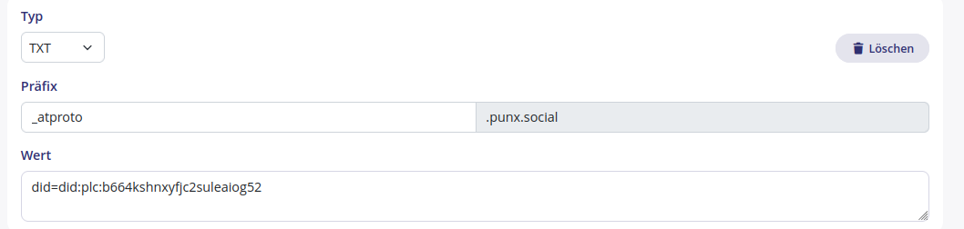 screenshot wie die DNS Einträge aussehen