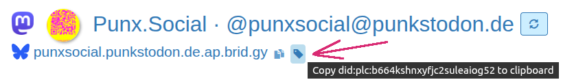 screenshot how to get the DID